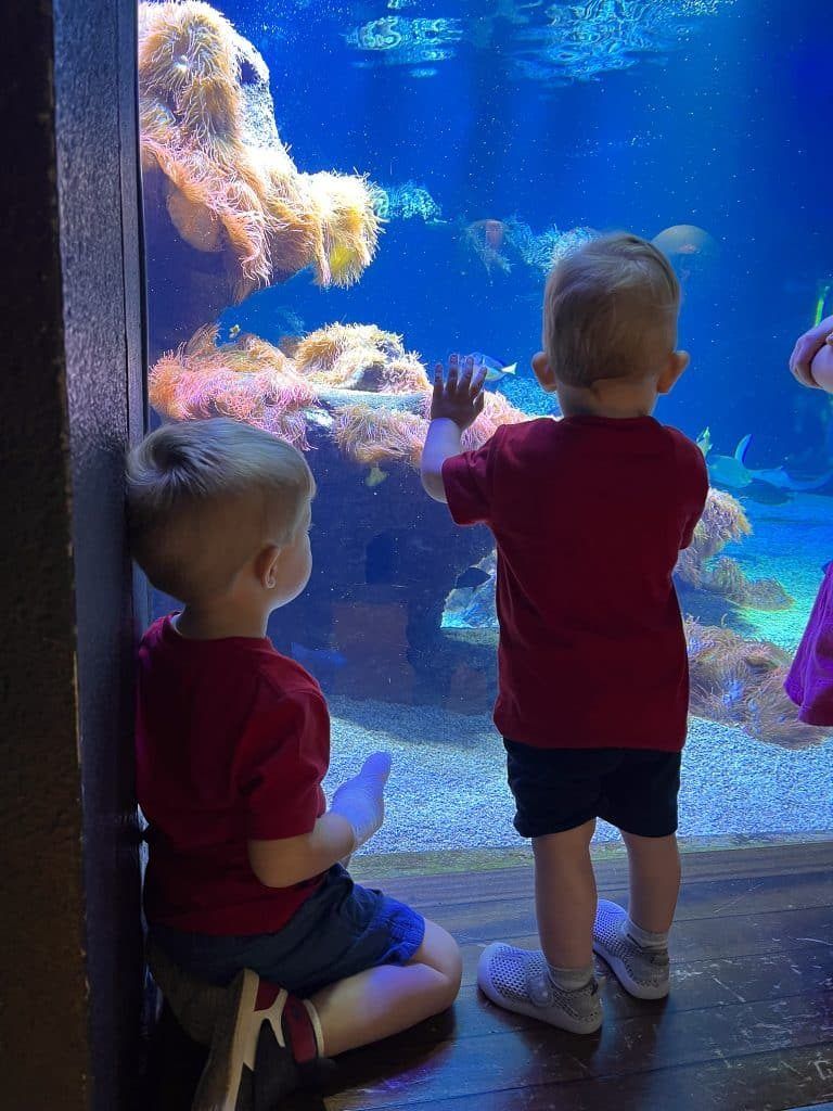Zwei Kinder staunen vor dem großen Aquarium im Aquazoo Düsseldorf