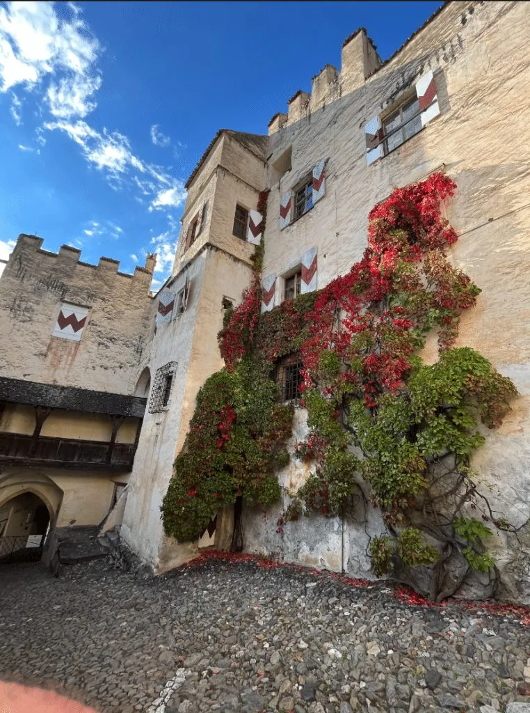 Burgmauer mit rotem Wein und Zinnen