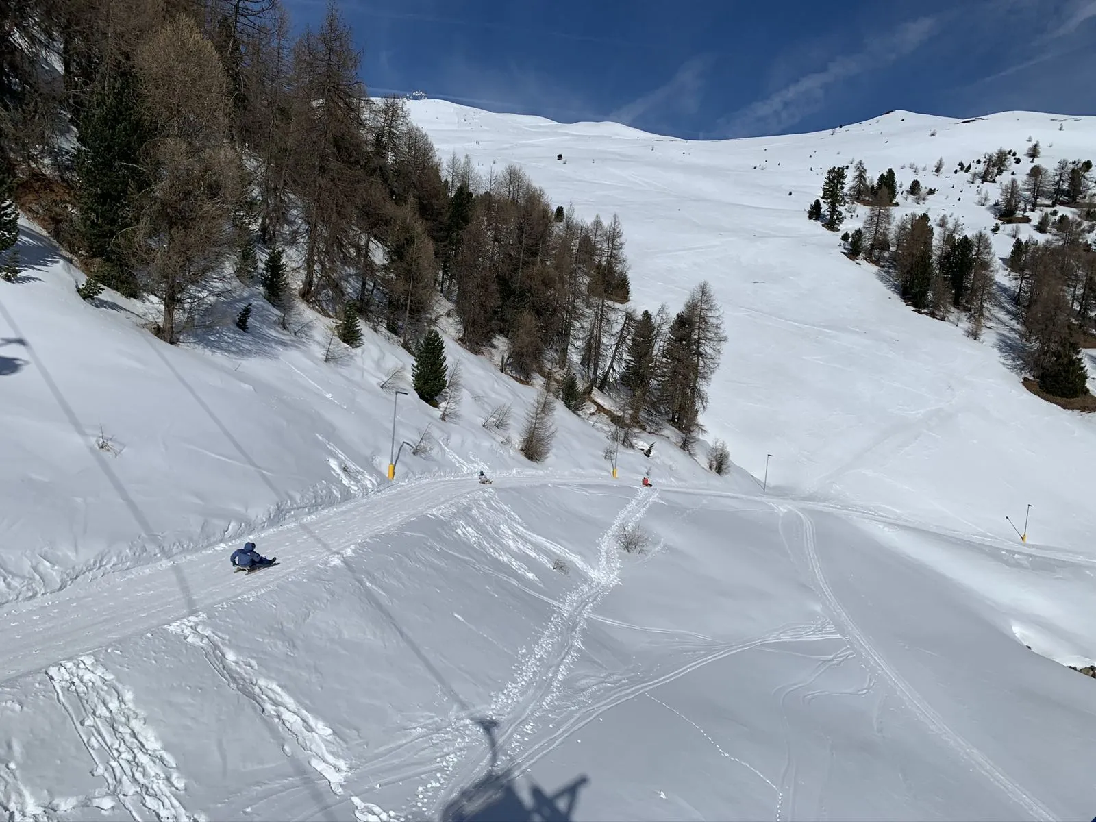 Blick aus dem Sessellift auf die Rodelbahn am Watles mit mehreren Rodlern zwischen Lärchen