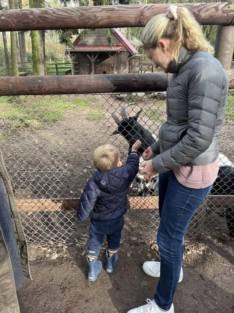 Kleinkind füttert mit Mutter die Ziegen am Gatter